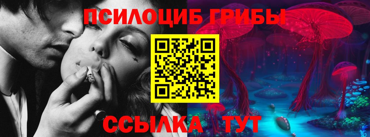 Псилоцибиновые грибы Psilocybine cubensis Владикавказ