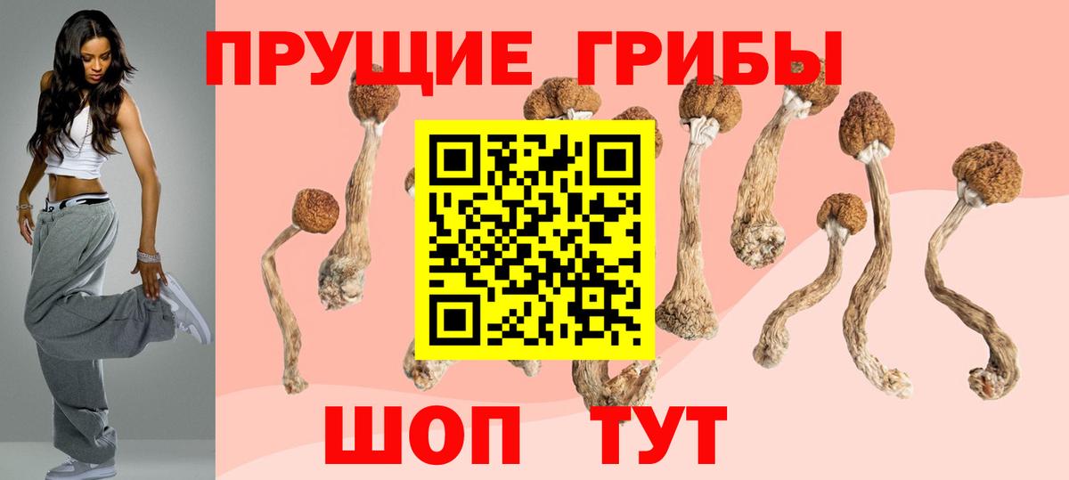 Владикавказ  Псилоцибиновые грибы MAGIC MUSHROOMS  где купить   Вход с VPN  Галлюциногенные грибы Psilocybe 